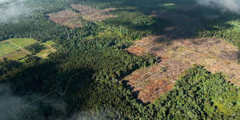Deforestation models