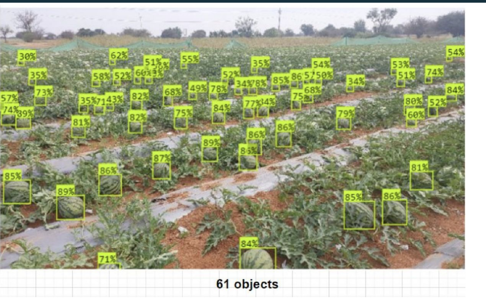 Vision model output detecting fruits across a field