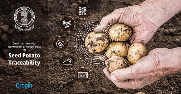 seed-potato-traceability