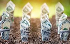 crop insurance providers use smart farming for risk coverage