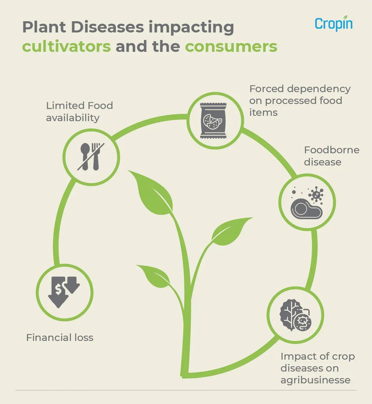Plant Diseases and Their Impact on Crop Productivity