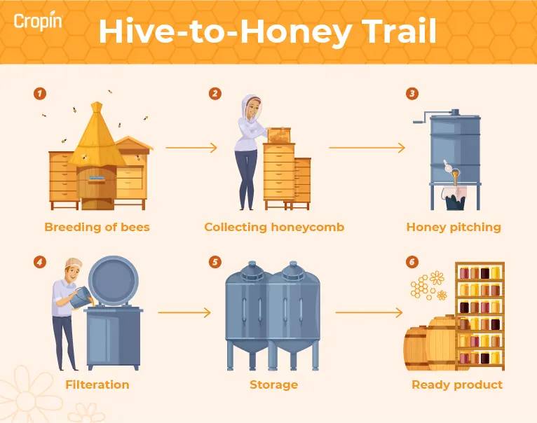 Hive to Honey Trail