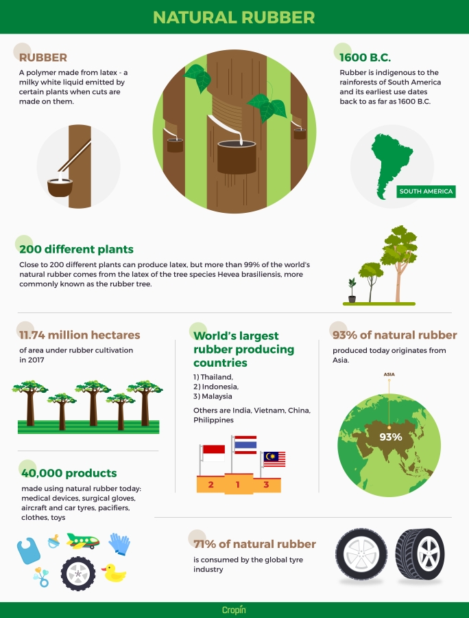 How is Natural Rubber Made?