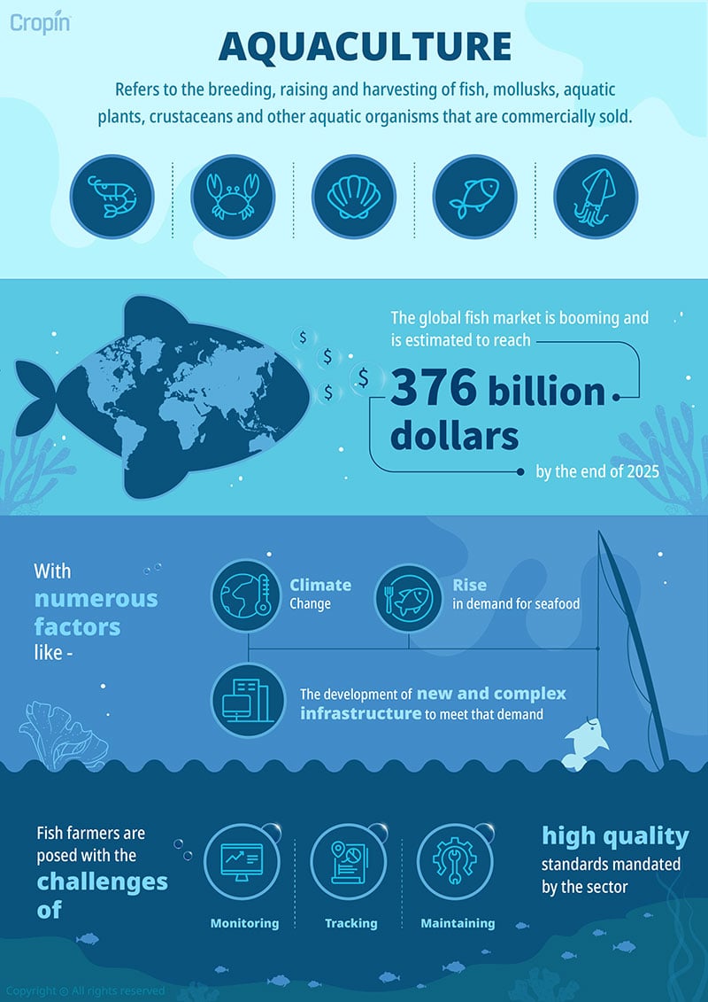 aqua-culture-infographics