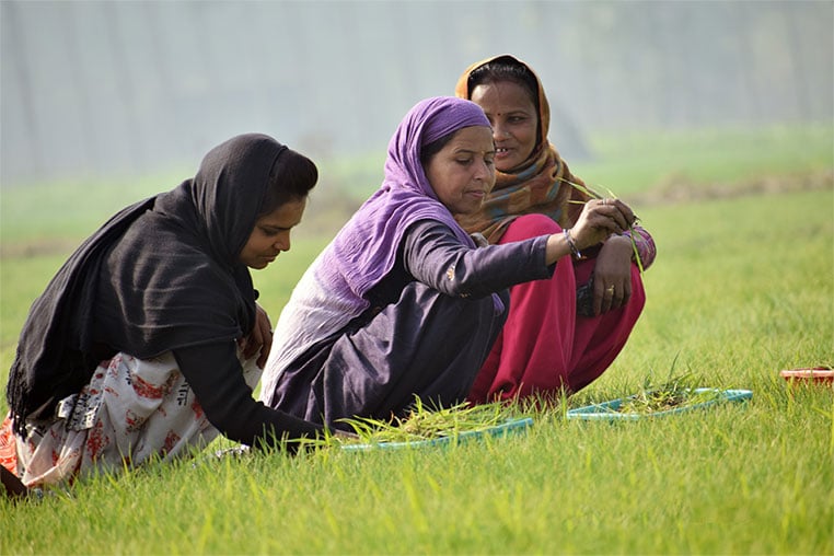 rural women farmers