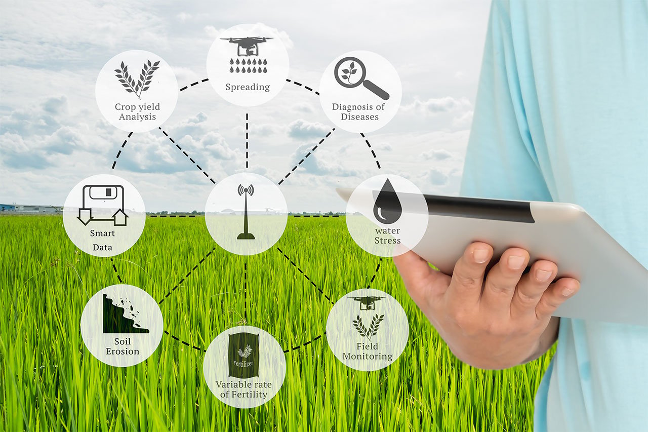 Bigdata отзывы otzyvy best. Интернет вещей в сельском хозяйстве. Применение интернета вещей в сельском хозяйстве. Умное поле. Интернет вещей Агро.
