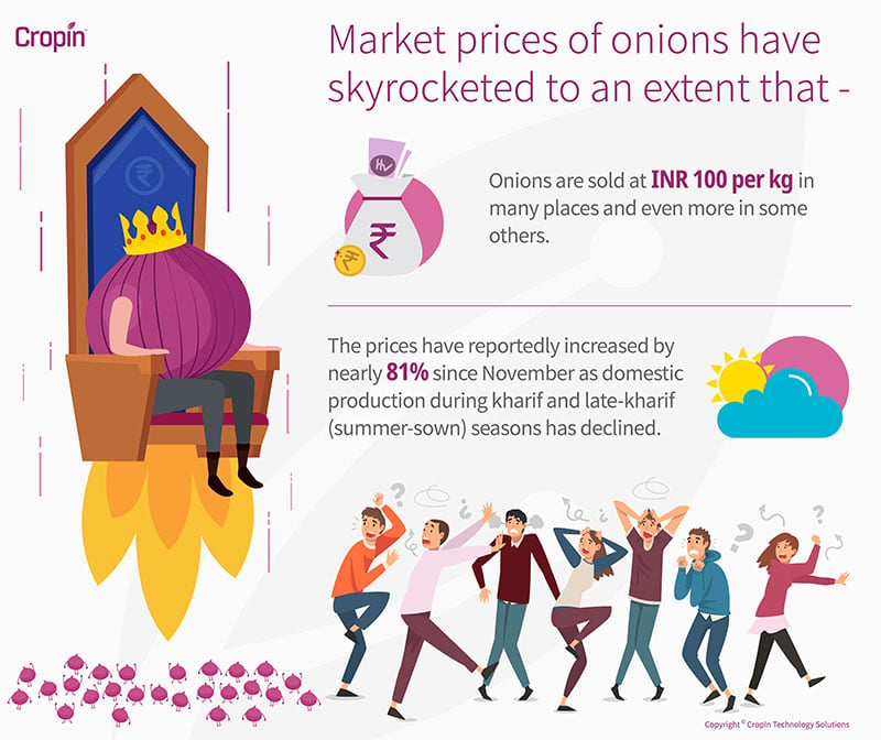 onion-infographics