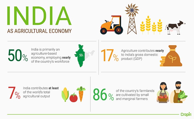 india as an agricultural economy