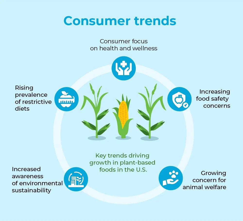 Regenerative Agriculture & consumer awareness 