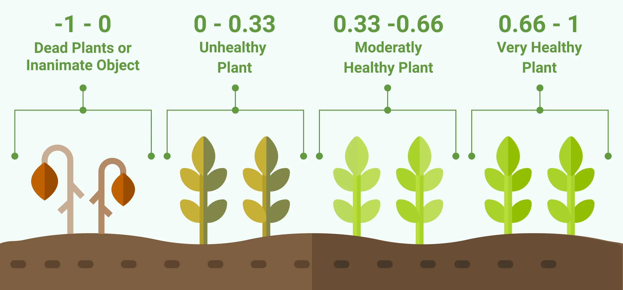 vegetation index infographic 3