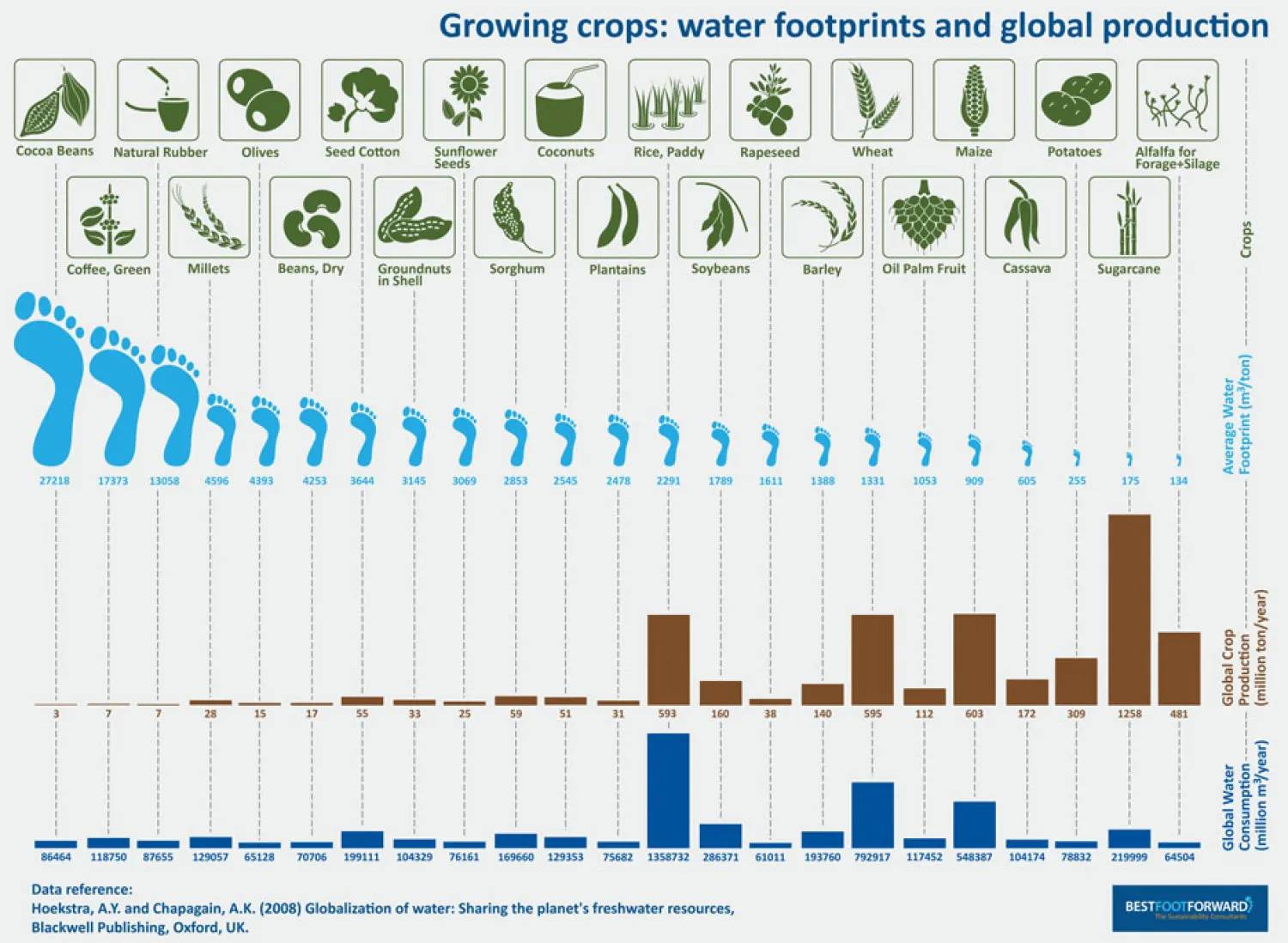 water footprints and global production