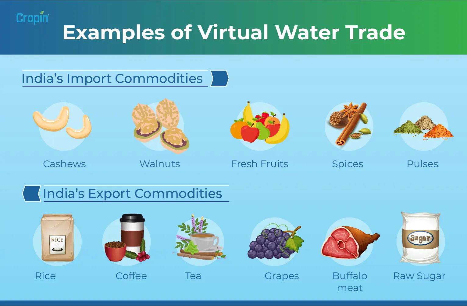 Examples of virtual water trade