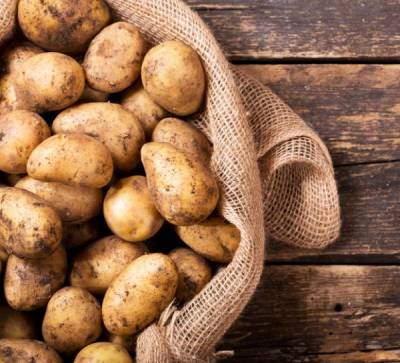 digitization-of-potato-cultivation