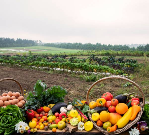 certified-organic-produce