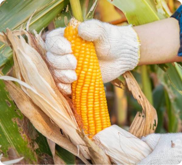 largest-agrochemical-corporations