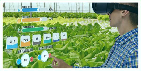 iot-agriculture-automation-technology