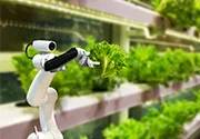 iot in agriculture harvesting robotics