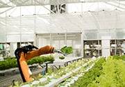 iot in agriculture material handling