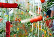 iot in agriculture-weeding-robots