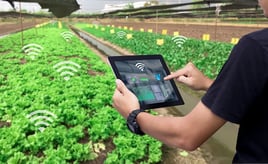 digital farming solution and systems