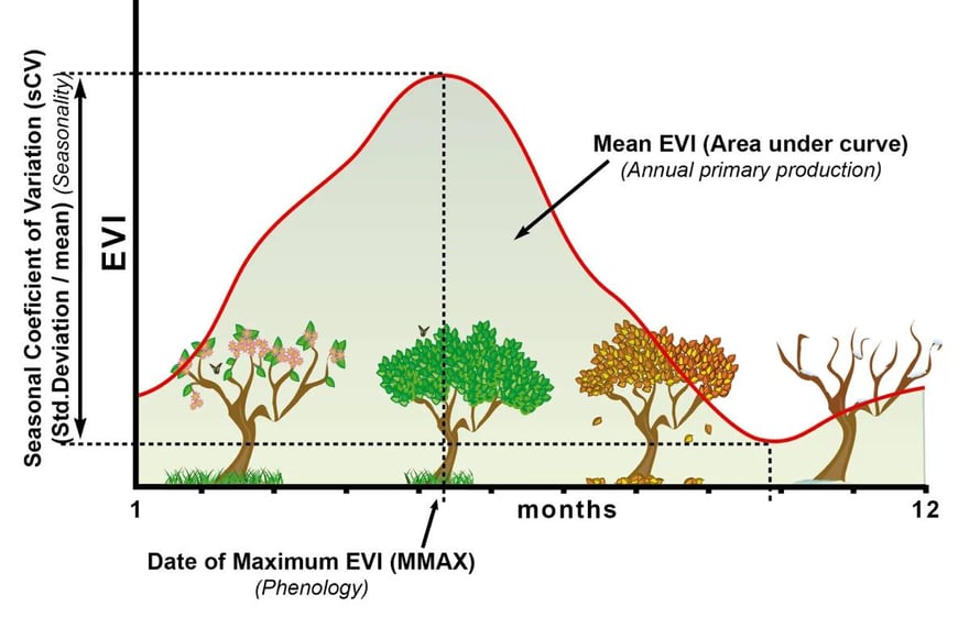 enhanced vegetation index evi