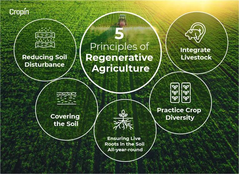 five primary principles of regenerative agriculture infographic