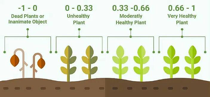 how to evaluate ndvi in agriculture normalized difference vegetation index infographic