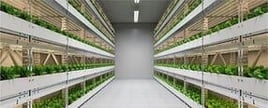 indoor farming areas for vertical farming