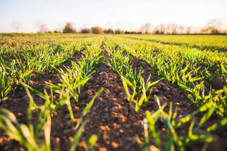 regenerative agriculture photo depicting climate smart regenerative agricultural practices