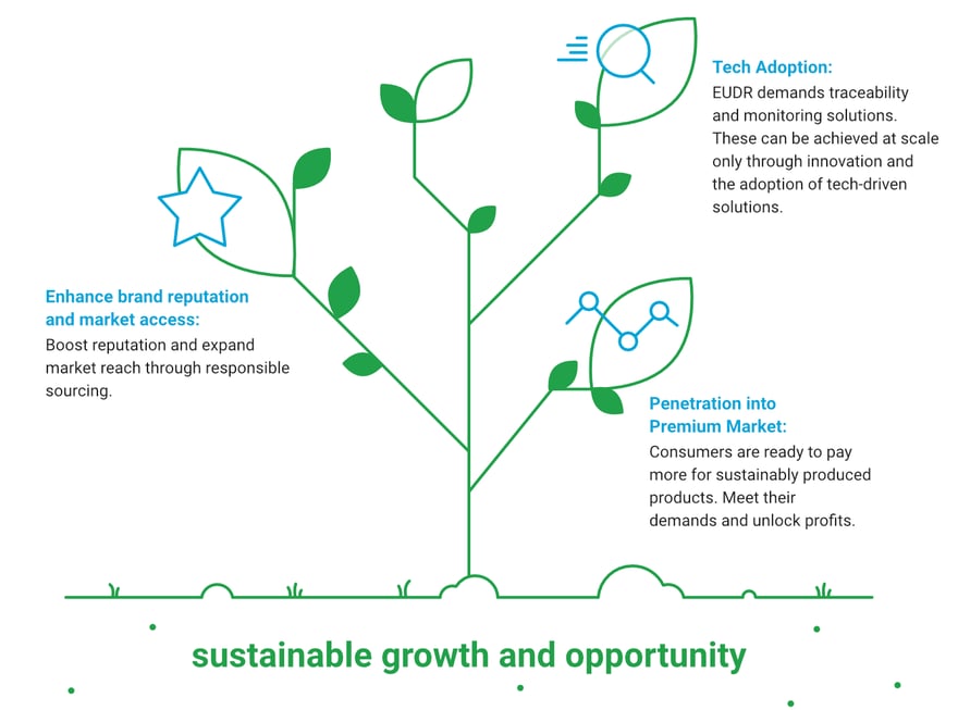 Sustainable Growth and Opportunties