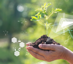 sustainable agriculture and the role of farming companies