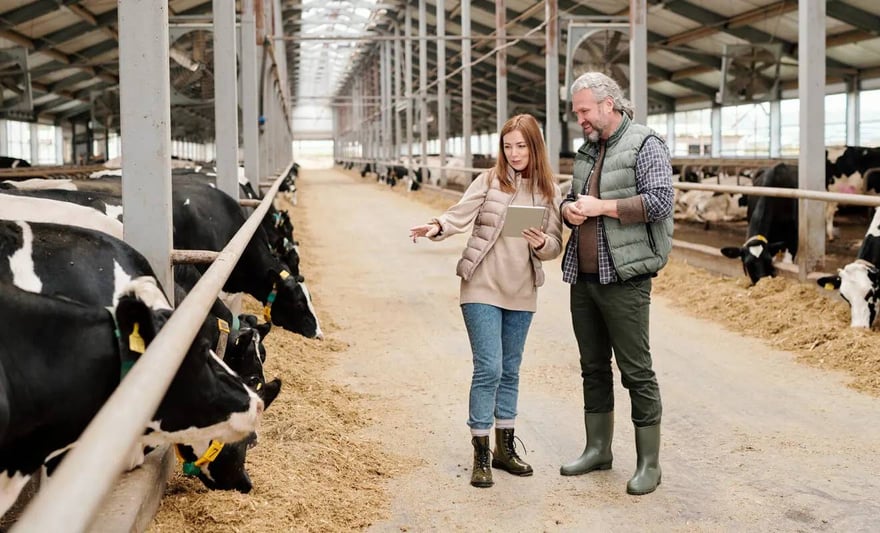 use of drones in agriculture for monitoring livestock