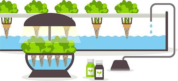 vertical farming and the vertical method of cultivation
