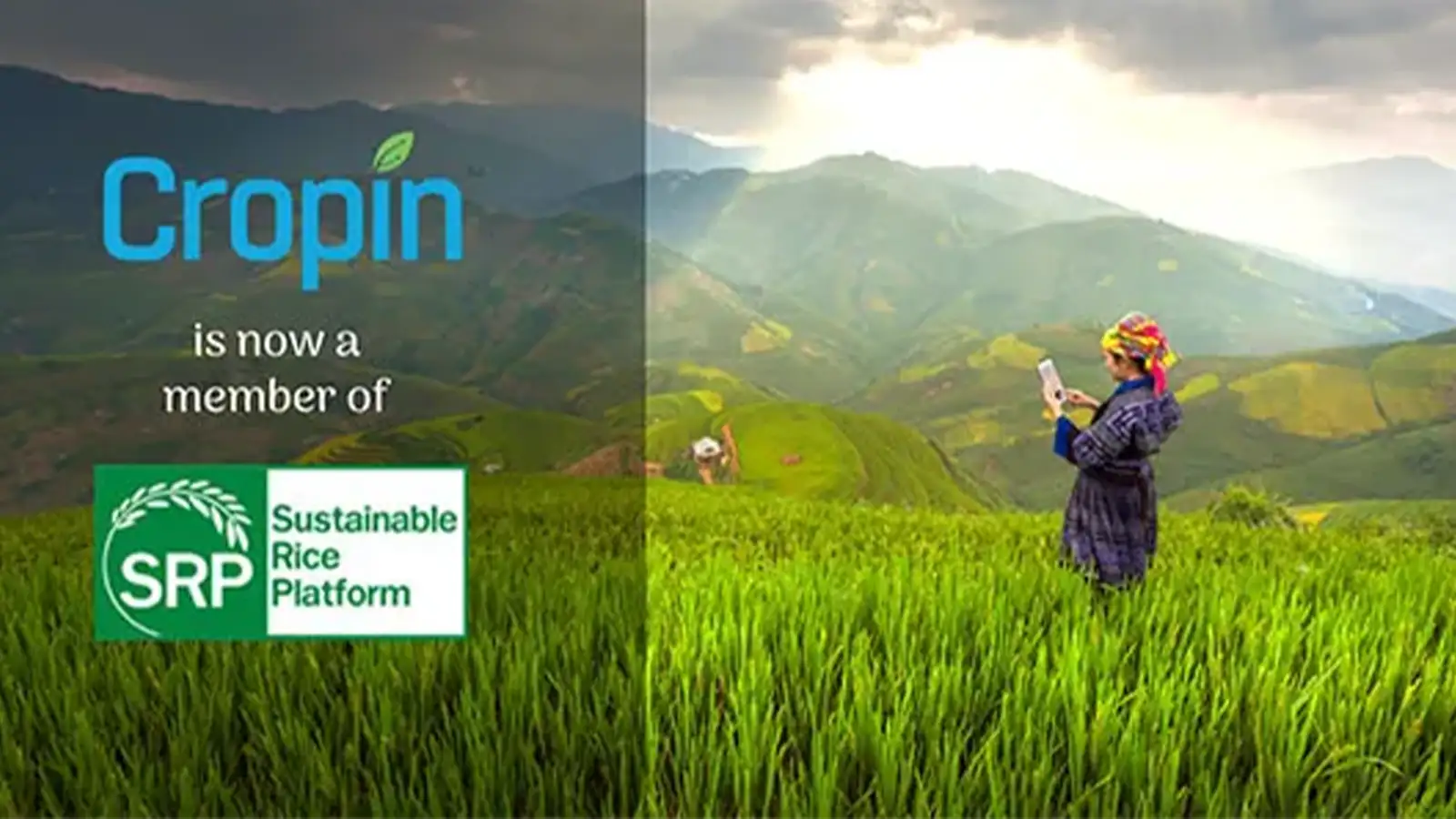 CropIn-Becomes-A-Member-of-Sustainable-Rice-Platform