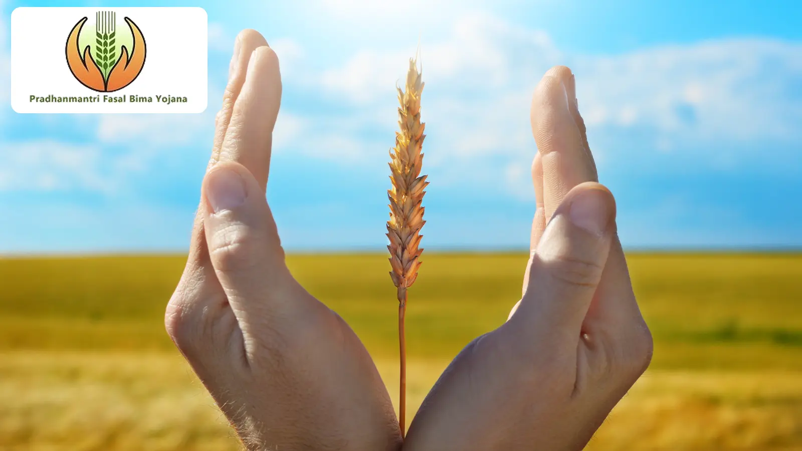 Crop Insurance Scheme to Maximize Income and Minimize Agricultural Losses