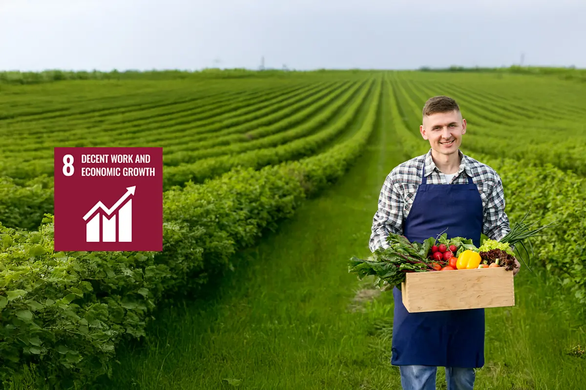 sdg8 1