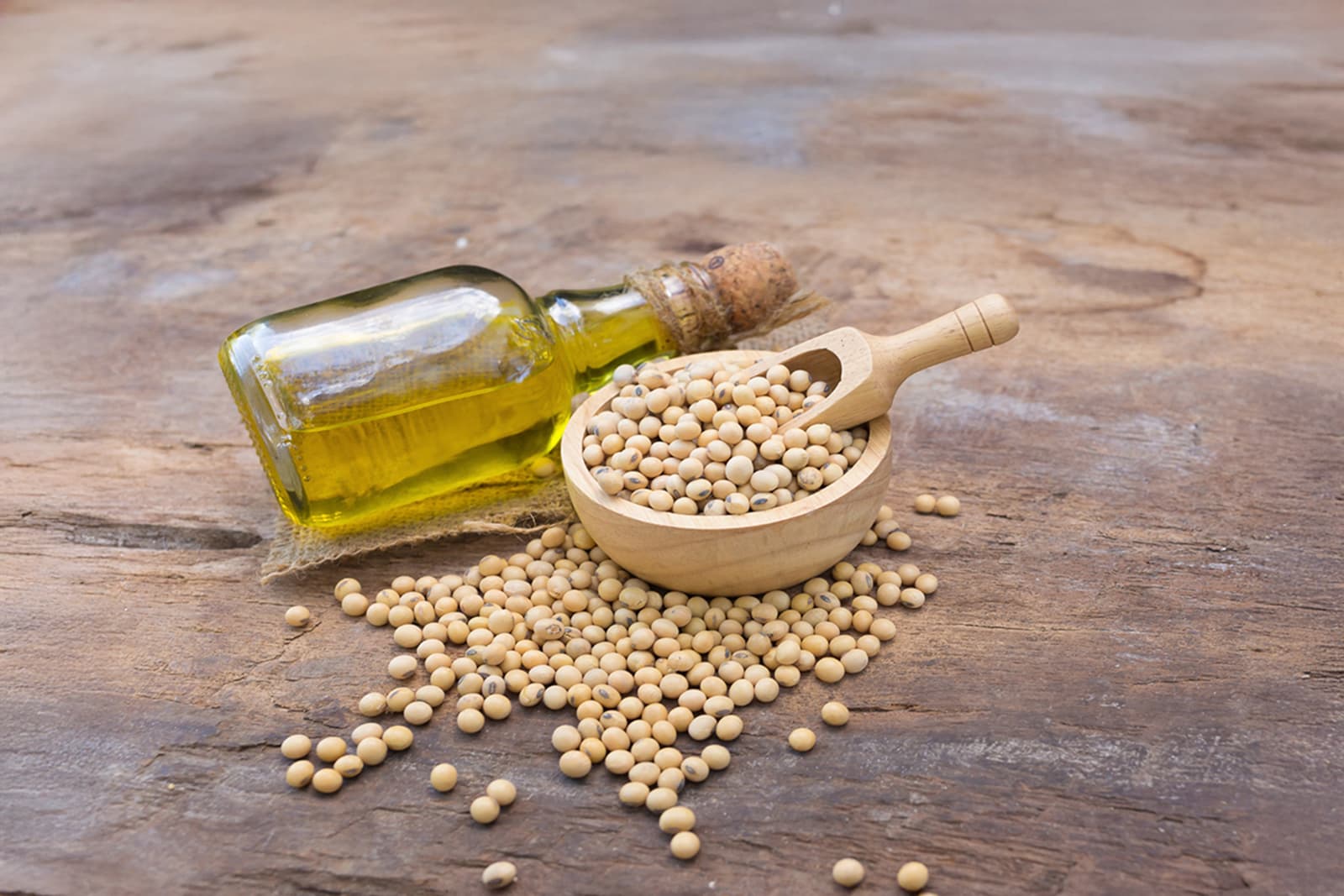 how-cropin-is-impacting-the-soy-value-chain-a-peek-into-the-eu-and-latin-america-markets