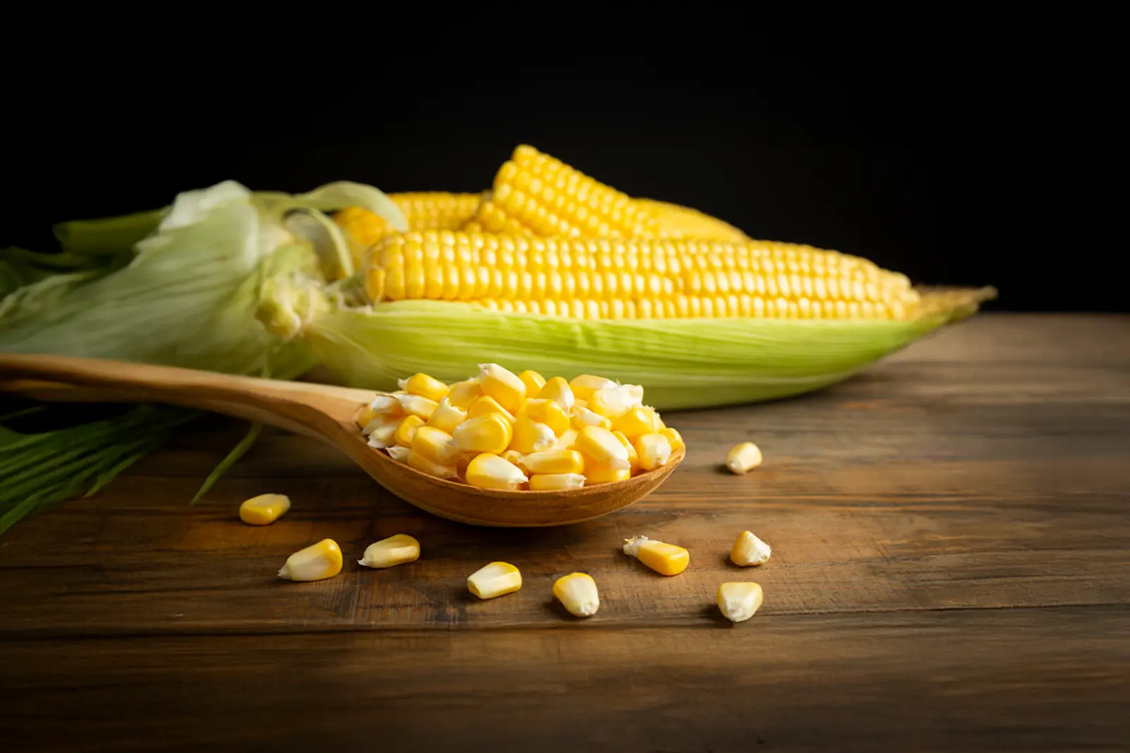 how-cropin-is-impacting-the-maize-value-chain-in-the-eu-and-latin-america-markets