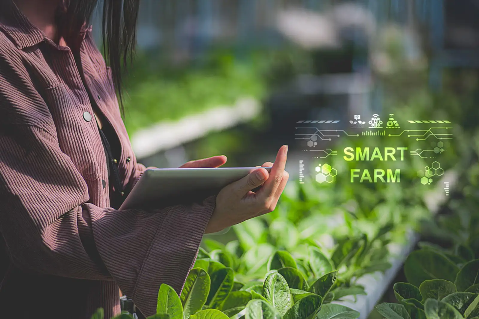 smart-farming-digital-adoption