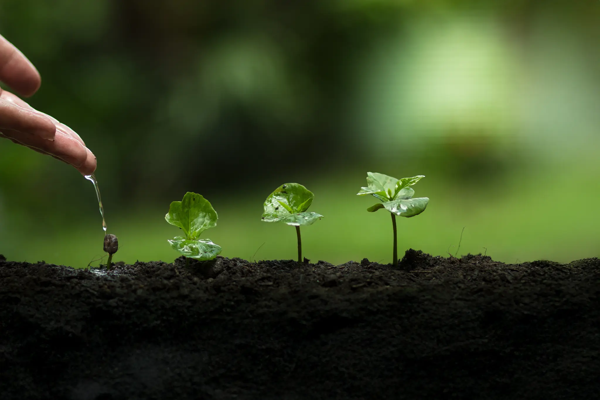 Water conservation in agriculture