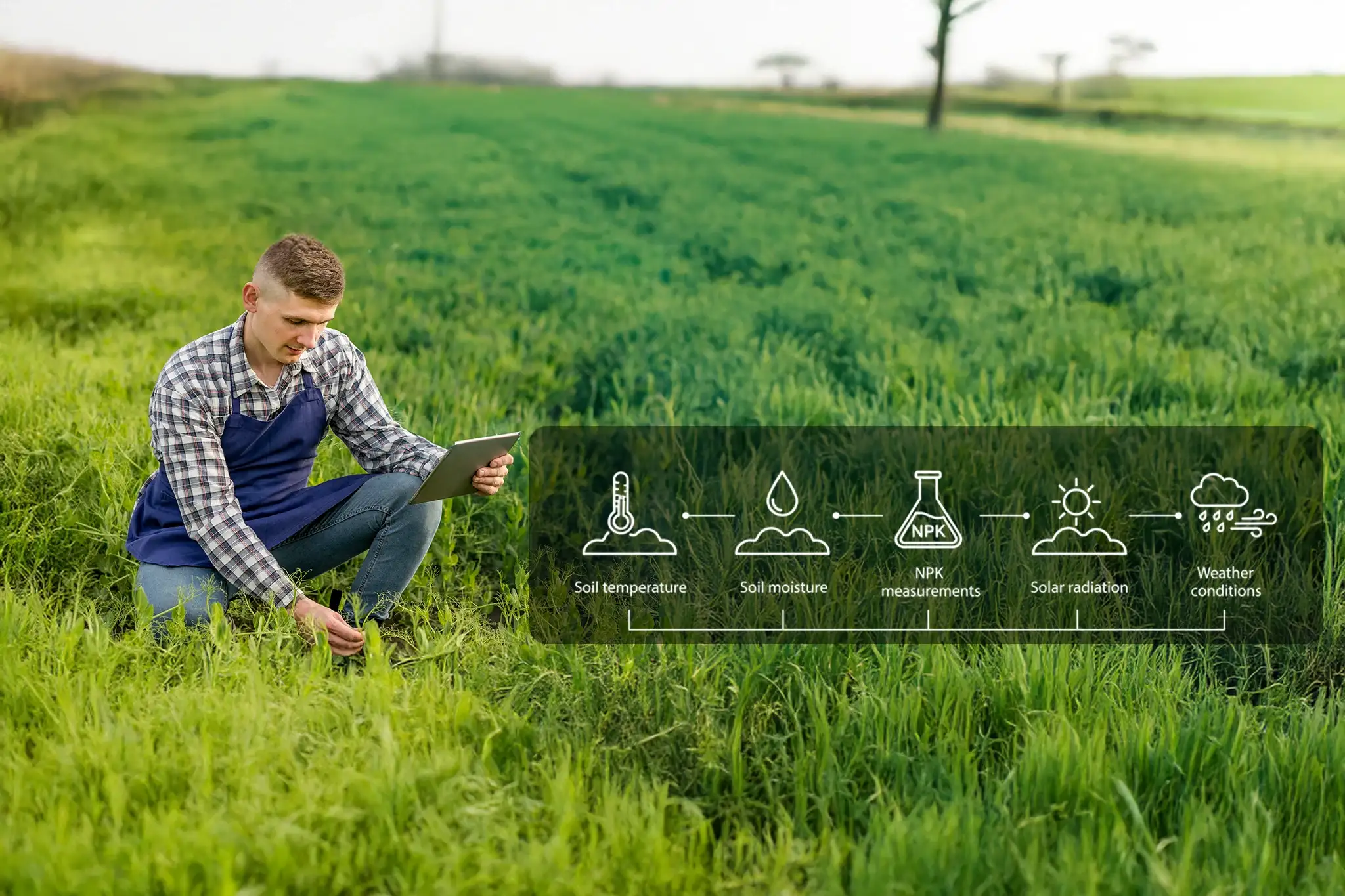 IoT in Agriculture For Healthier, Fertile Soil