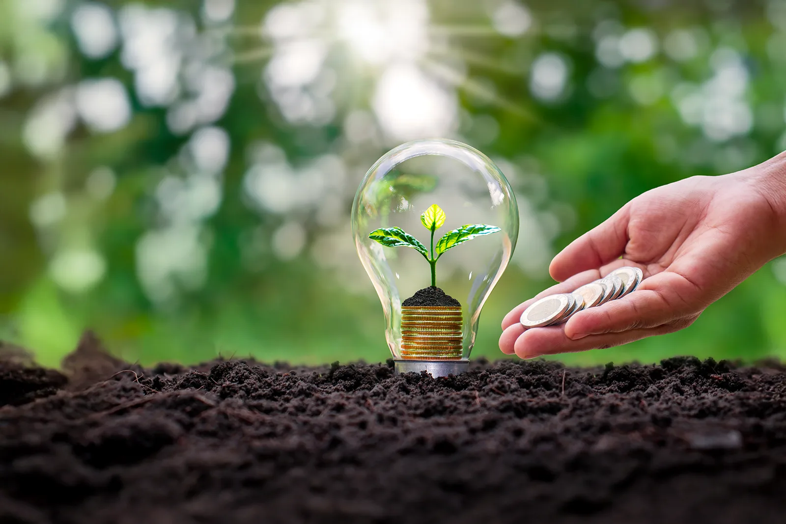 ethical-and-safe-ai-in-agriculture-considerations-for-lending-insurance re