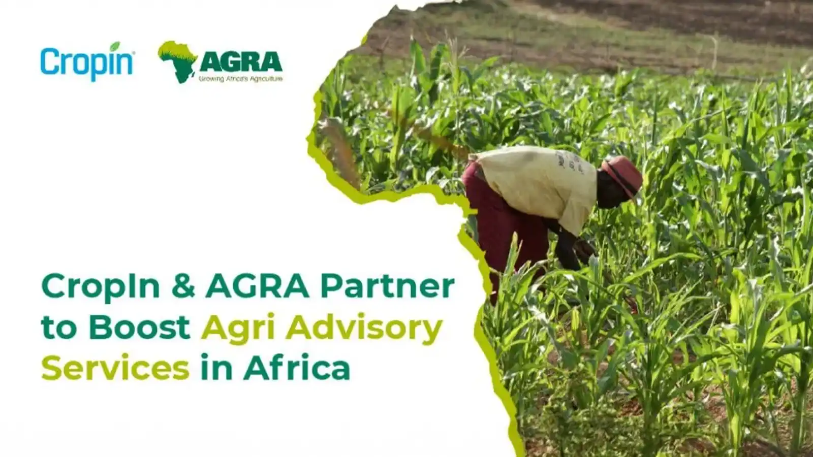 cropin-agra-partnership-taps-into-digital-technologies-to-boost-africas-extension-service-coverage
