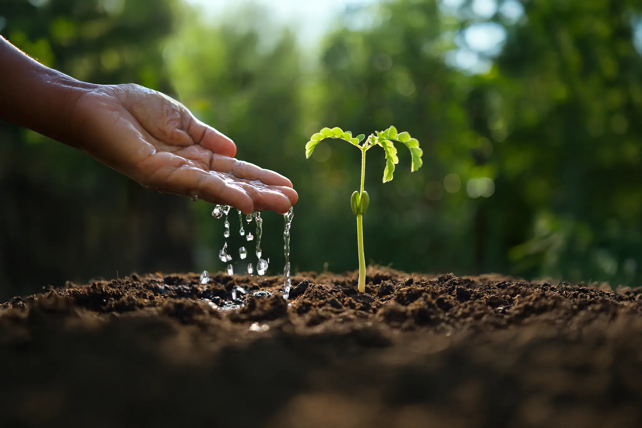 Water conservation in agriculture