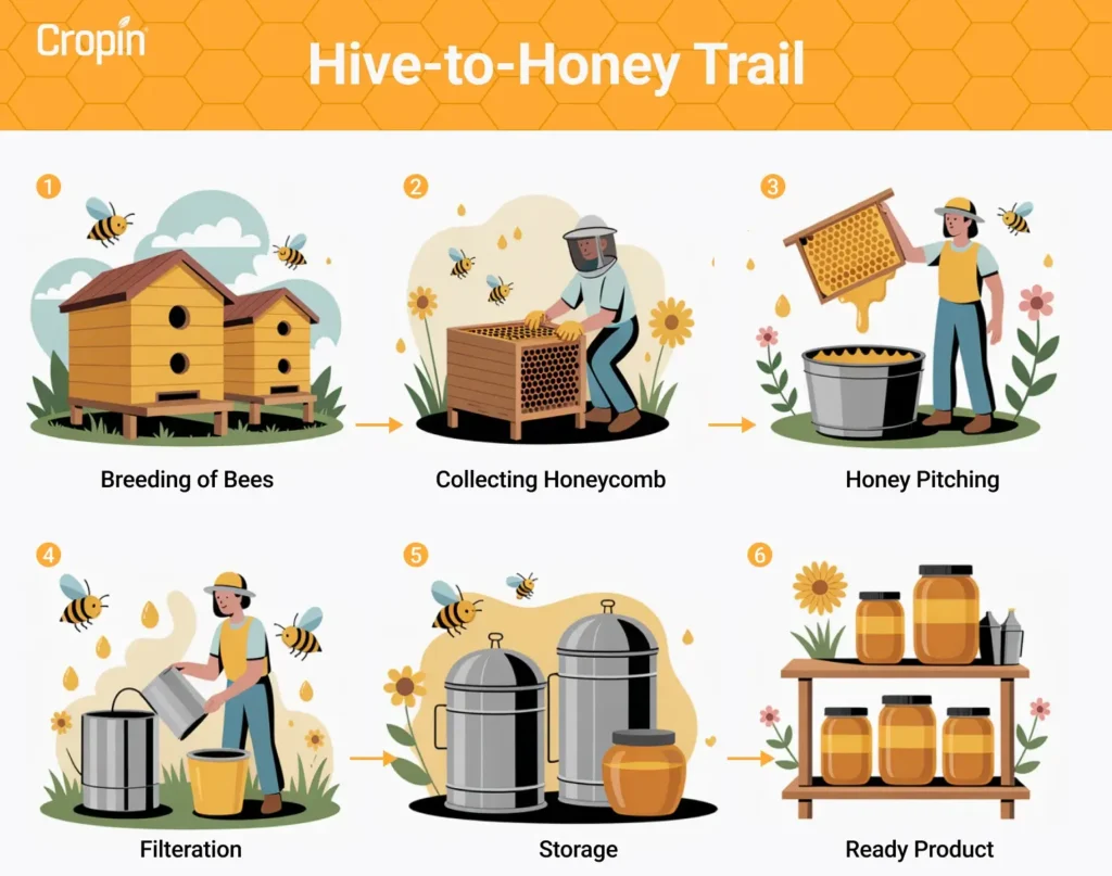 How does Technology Aid Beekeepers and Honey Brands