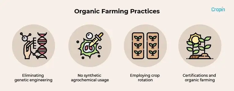 Organic-Vs-Sustainable