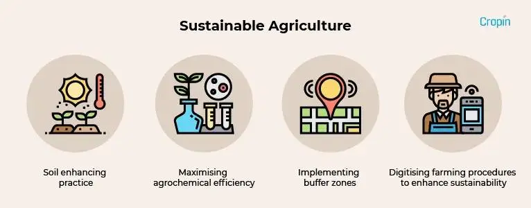 Organic-Vs-Sustainable