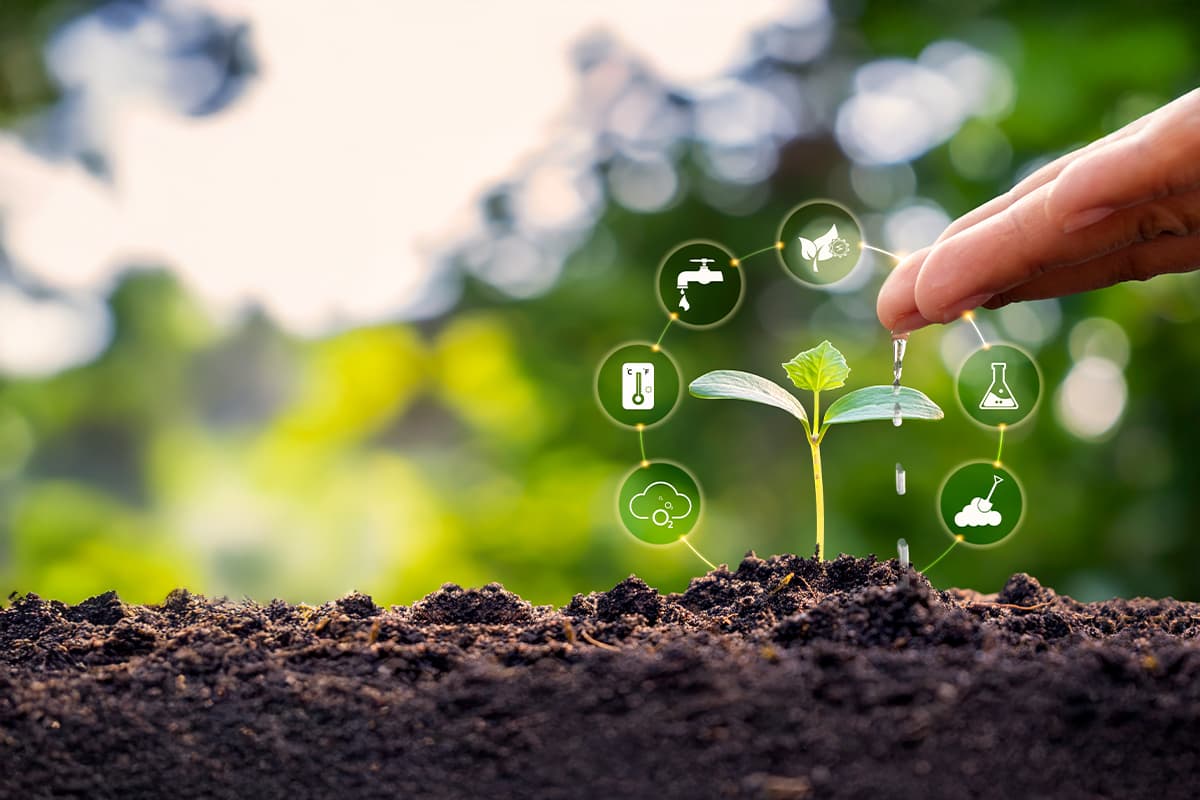 Regenerative Agriculture