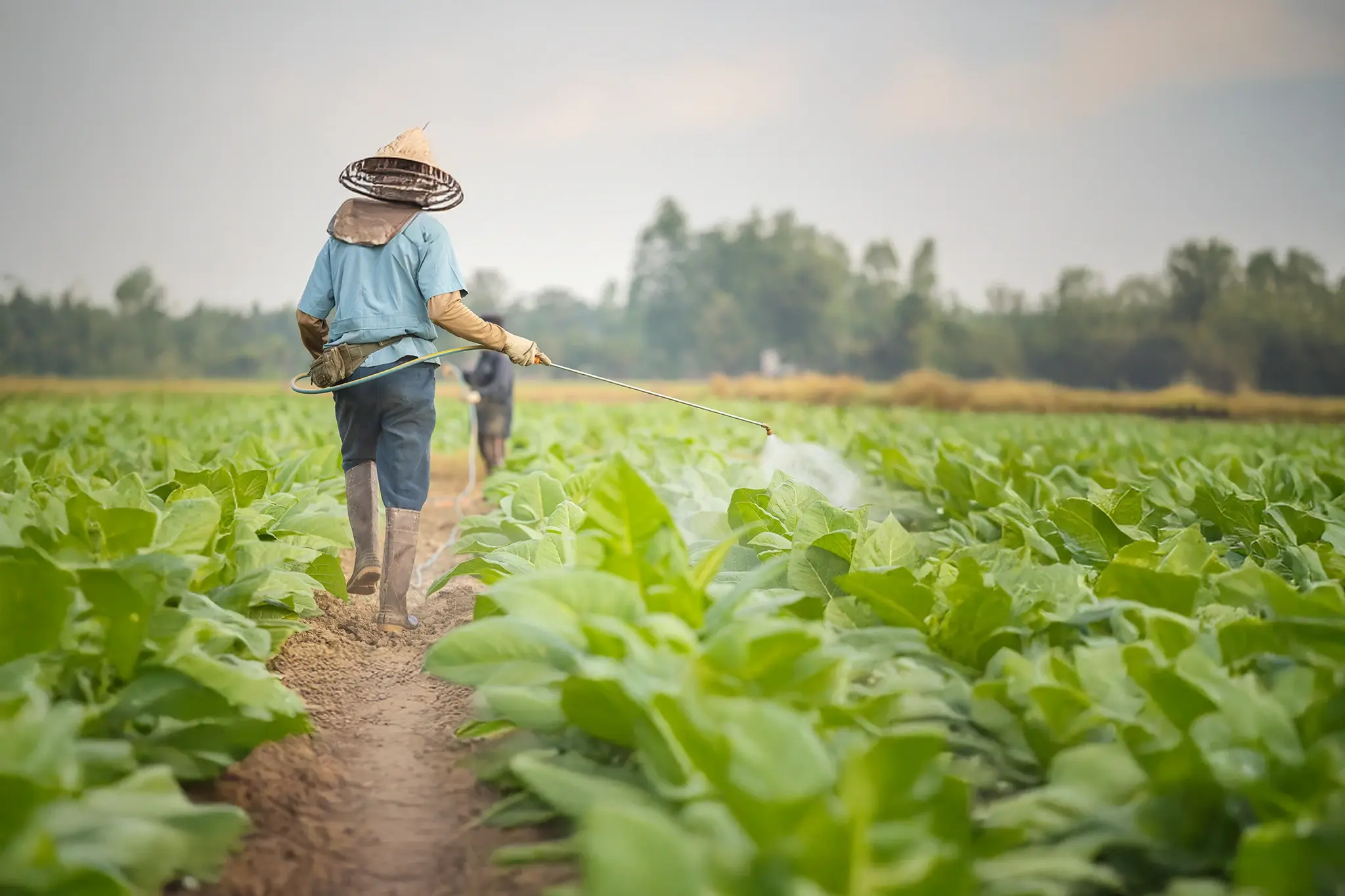 Modern Farming Technology for Agri-Input Businesses