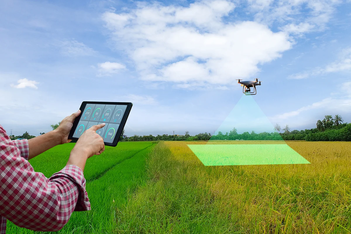 NDVI and its Practical Applications